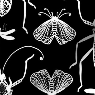 Cicada Ant Moth Black And White Doodle Drawing Pattern White On Black