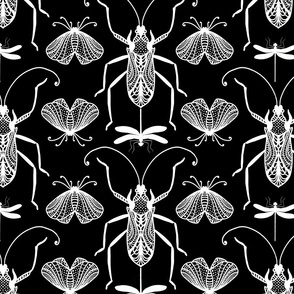 Cicada Ant Moth Black And White Doodle Drawing Pattern White On Black