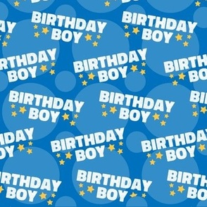 Birthday Boy Fabric, Birthday Fabric, Cute Boy Fabric, Blue Boy Fabric