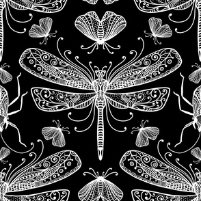 Dragonfly Ant Moth Black And White Doodle Drawing Pattern White On Black