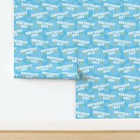 Birthday Boy Fabric, Birthday Fabric, Cute Boy Fabric, Light Blue Boy Fabric