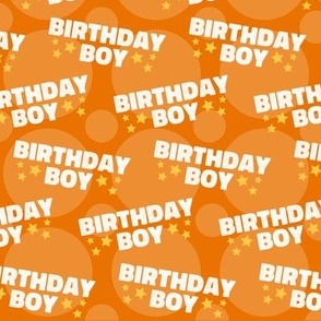 Birthday Boy Fabric, Birthday Fabric, Cute Boy Fabric, Orange Boy Fabric