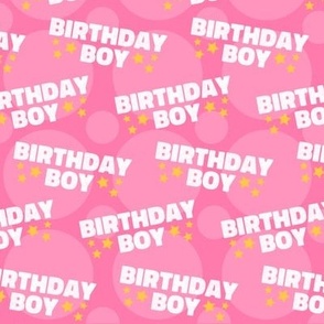Birthday Boy Fabric, Birthday Fabric, Cute Boy Fabric, Light Pink Boy Fabric