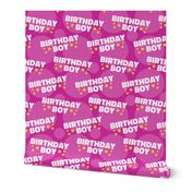 Birthday Boy Fabric, Birthday Fabric, Cute Boy Fabric, Magenta Pink Boy Fabric