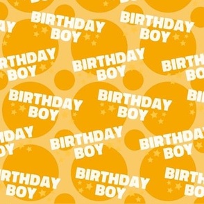 Birthday Boy Fabric, Birthday Fabric, Cute Boy Fabric, Yellow Boy Fabric