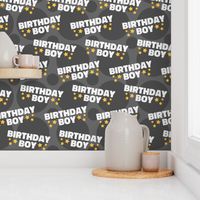 Birthday Boy Fabric, Birthday Fabric, Cute Boy Fabric, Grey Boy Fabric