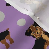 Yorkshire Terrier | Purple with Gray Dots - smaller scale