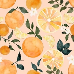 Citrus Oranges on Peachy Pink