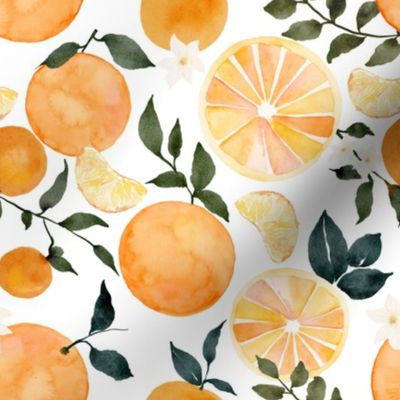 Citrus Oranges 