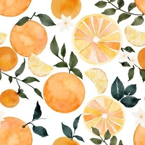 Citrus Oranges 