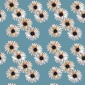 daisies_on_blue