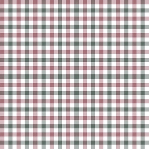 1/2 Inch Gingham//Into The Woods//Pink