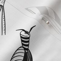All bugs black and white doodle