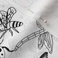 Pen and Ink Doodle Bugs  (large scale) 