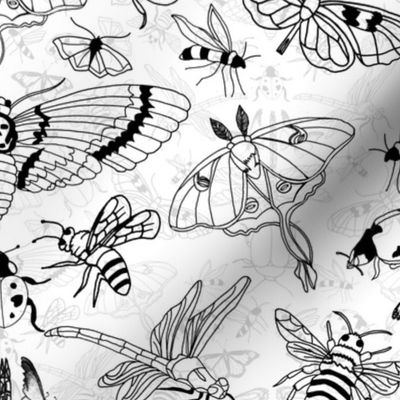 Pen and Ink Doodle Bugs  (large scale) 