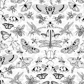 Pen and Ink Doodle Bugs  (large scale) 