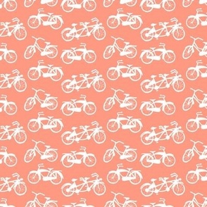 bike coordinate in red rose
