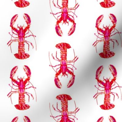 Watercolor Lobsters in Reds and Pinks