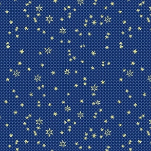 Galileo's Hand-Drawn Stars