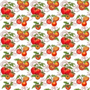 Red Tomatoes with line art on white-smaller version