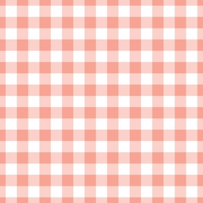 Dreamy Peach Gingham Plaid / Large