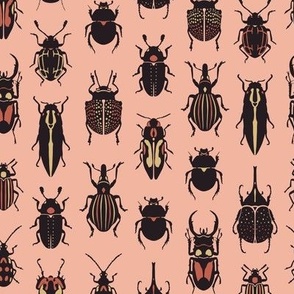 Beetle bugs