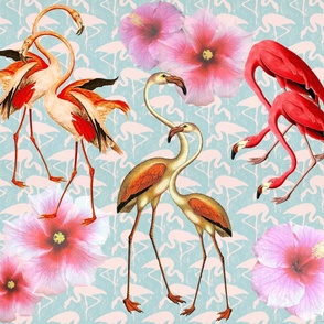 Flamingos, Let's Flamingle!