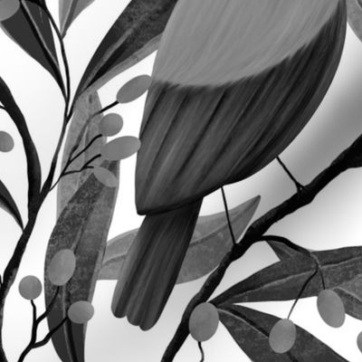 African monochrome sugarbird botanical (medium)