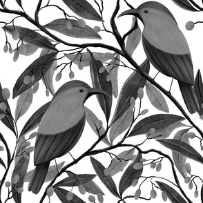 African monochrome sugarbird botanical (medium)