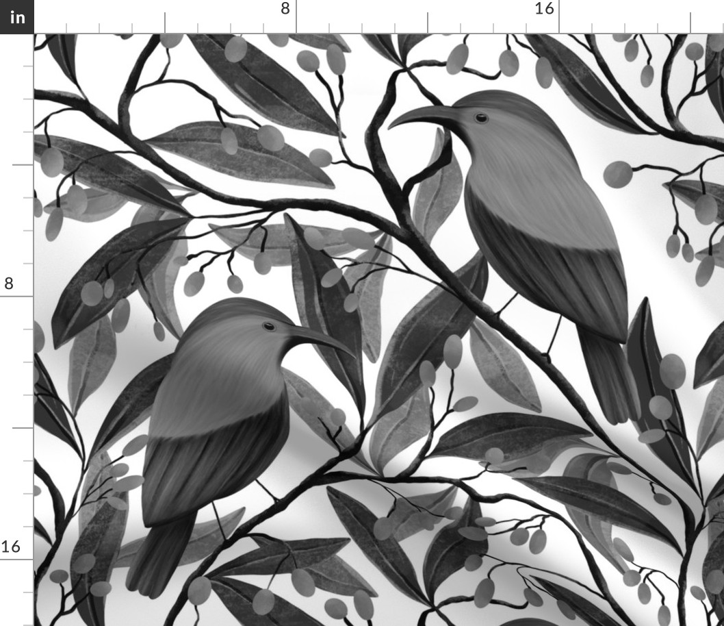 African monochrome sugarbird botanical (medium)
