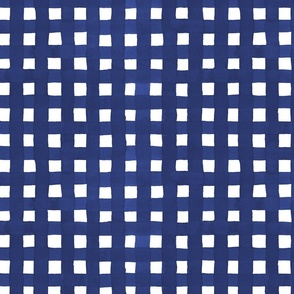 Checkers-Starry Night Blue- Benjamin Moore- 2067-20- Dark Blue Sapphire- watercolor