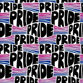 Bisexual Pride Flag in block print hand lettering || pink purple blue
