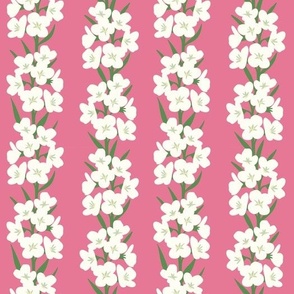 White Cuckoo Flowers on Pink Background