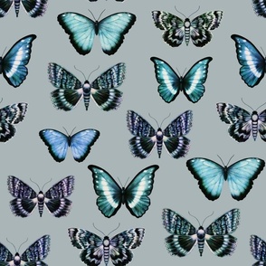 Butterflies teal grey