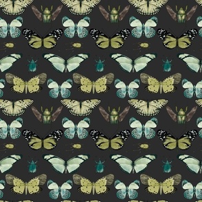 Fun With Insects-on warm dark gray no texture (small scale)