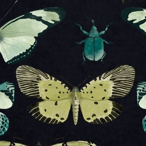 Fun With Insects-on darkest teal with black texture (largest scale)
