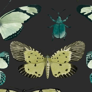 Fun With Insects -on warm dark gray (large scale)