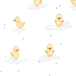 Little chicks in puddles
