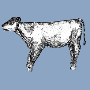 cow blue