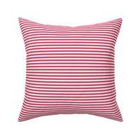 Pink-and-white-stripe-2400