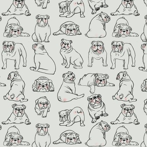 Black outline english bulldogs on sage. Handdrawn pencil drawn dogs. Funny dogs.