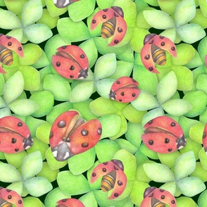 Ladybugs doodle