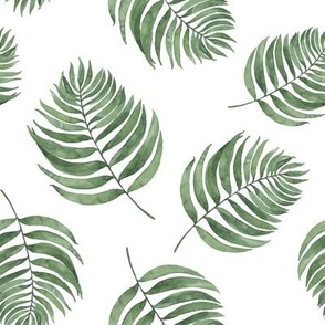 Watercolor green palm leaves on white - less leaves