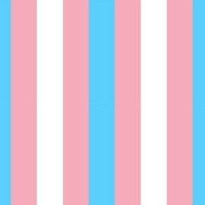 Trans stripes vertical