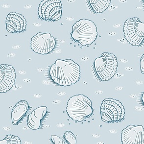 sea shells on light blue | large