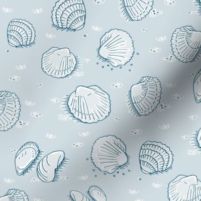 sea shells on light blue | medium