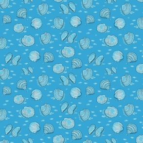 sea shells on brilliant cerulean | medium