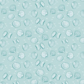 sea shells on greenish gray | medium