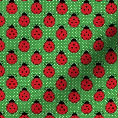 Small Scale Ladybug Pickleballs on Green Polkadots