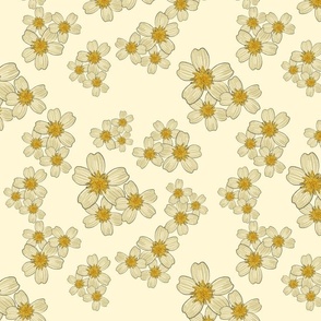 Field of beige  and yellow Daisies - beige background - small